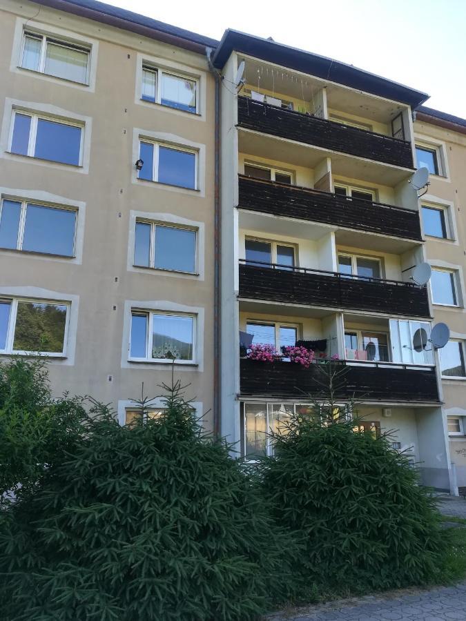 דירות Loučná nad Desnou Apartman 21 מראה חיצוני תמונה